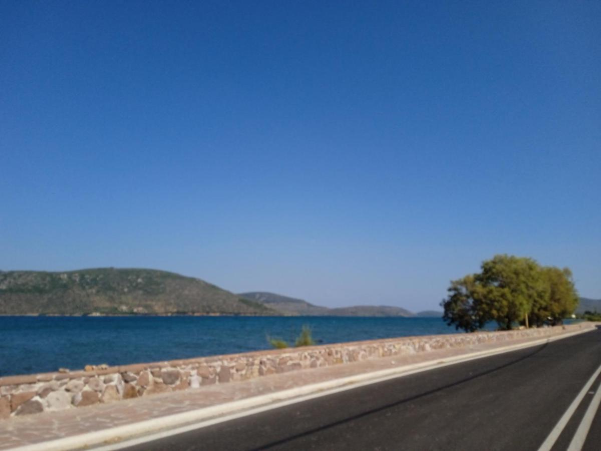 μαρία Gera